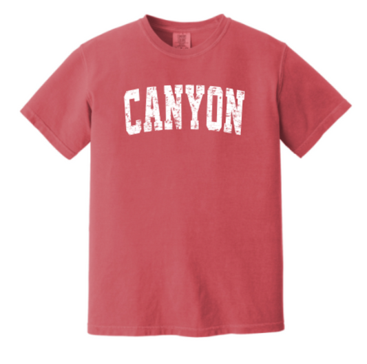 Collegiate Canyon Oversized Tee