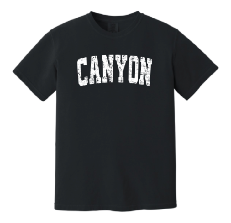 Collegiate Canyon Oversized Tee