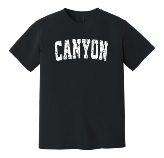 Collegiate Canyon Oversized Tee